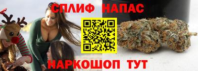 крисы Ставрополь