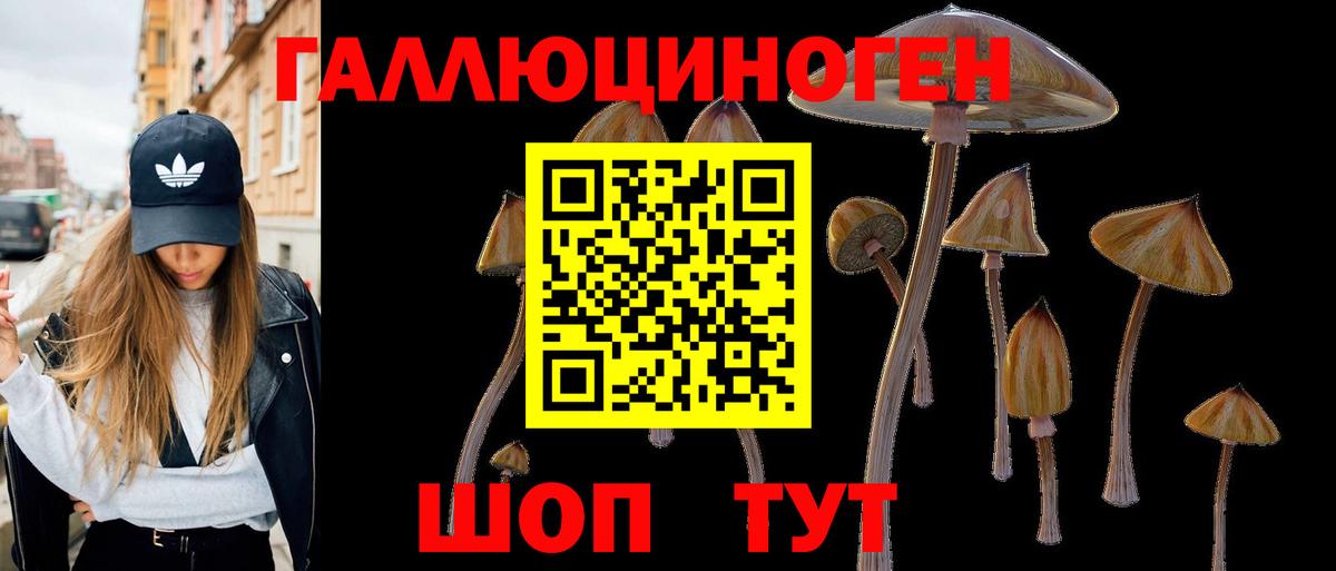 Галлюциногенные грибы GOLDEN TEACHER  Вход с VPN  Саранск 