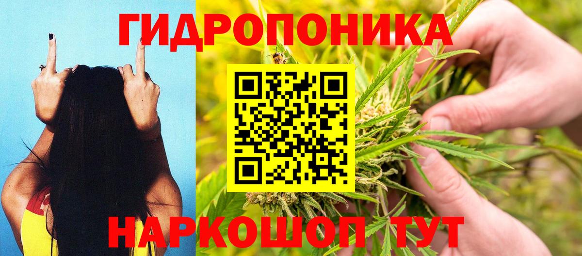 Бошки Шишки AK-47  Каннабис сатива  Марихуана семена  Вход с VPN  Саранск 